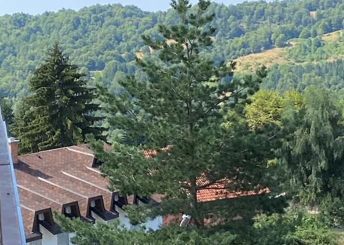 Hill Chill On Kop Kopaonik